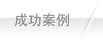 成功案例